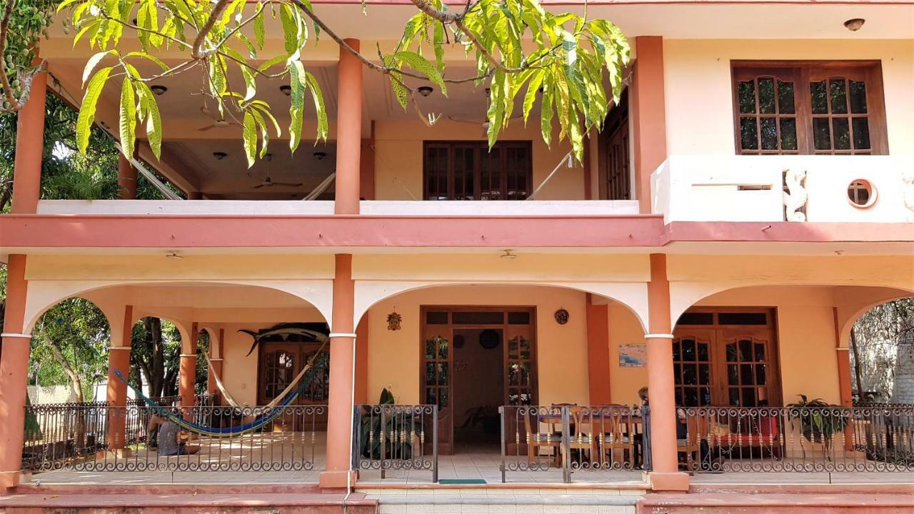 Villa Mango Hostel Puerto Escondido (Oaxaca) Exterior foto